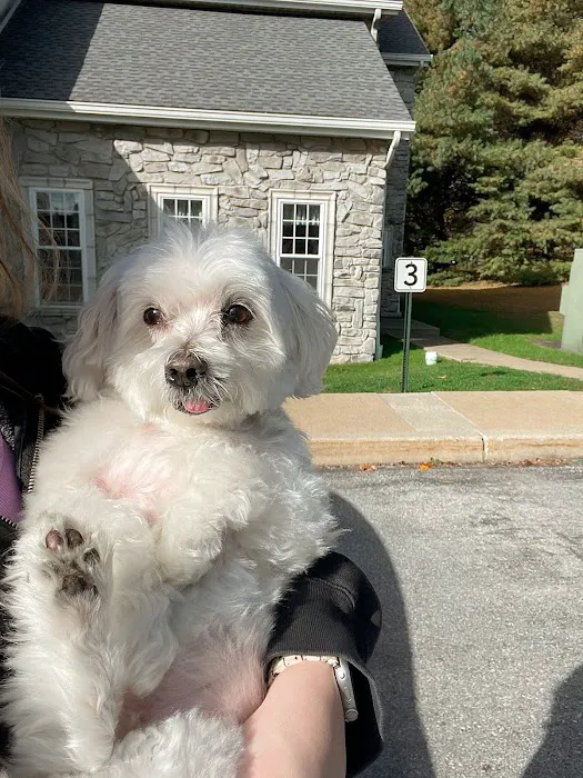West Chester Animal Hospital 6