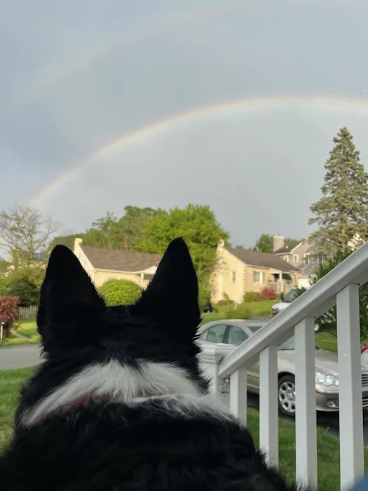 West Chester Animal Hospital 2