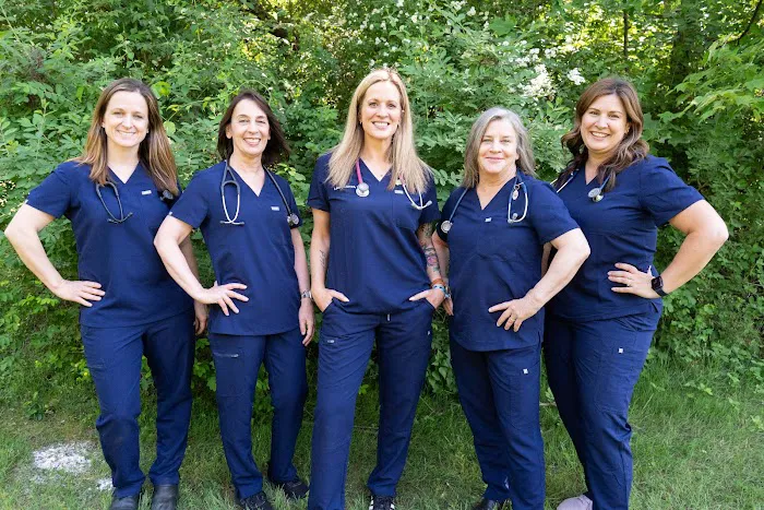Animal Hospital of Chester County 3