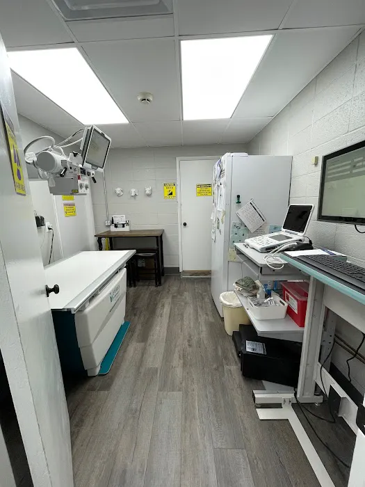 Animal Hospital of Chester County 4