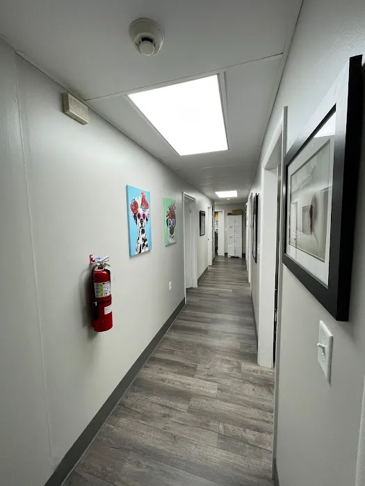 Animal Hospital of Chester County 1