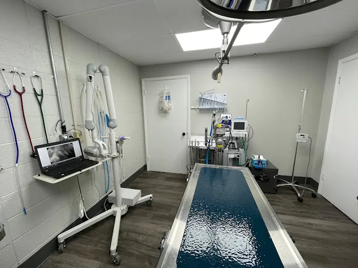 Animal Hospital of Chester County 5