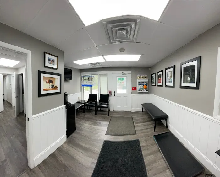 Animal Hospital of Chester County 2