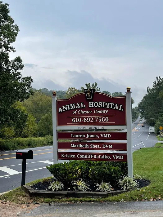 Animal Hospital of Chester County 7