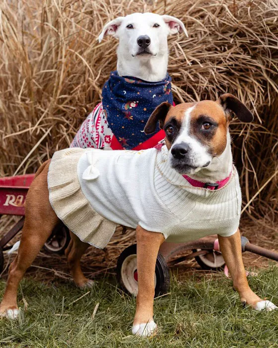 Brandywine Valley SPCA Animal Health Center | Malvern 7