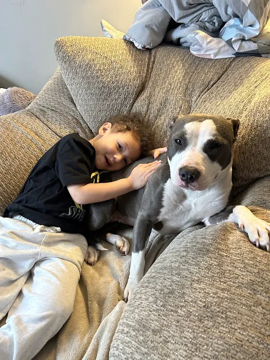 Brandywine Valley SPCA Animal Health Center | Malvern 4