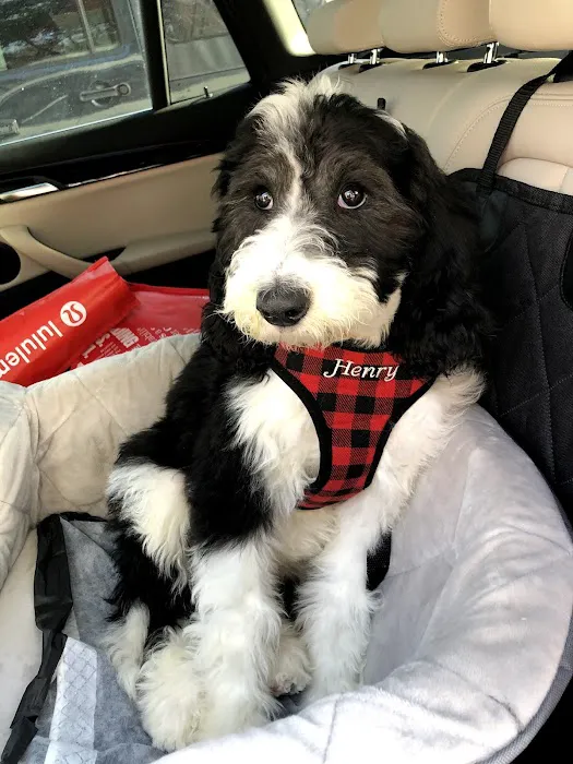 Affinity Veterinary Center of Malvern 7