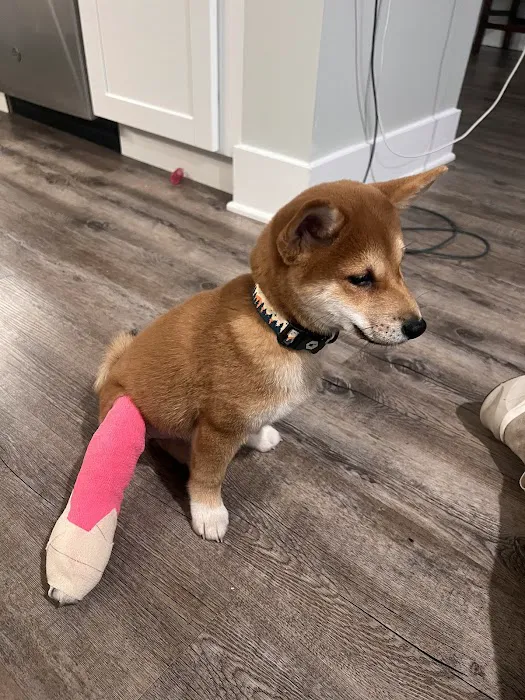 Affinity Veterinary Center of Malvern 5