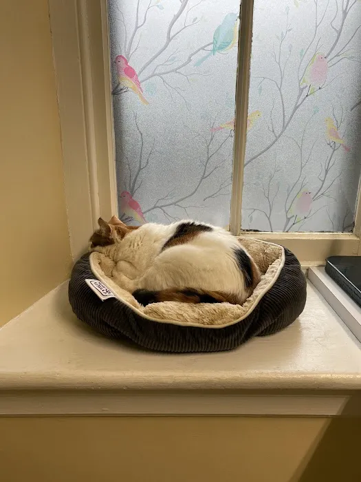 Affinity Veterinary Center of Malvern 10