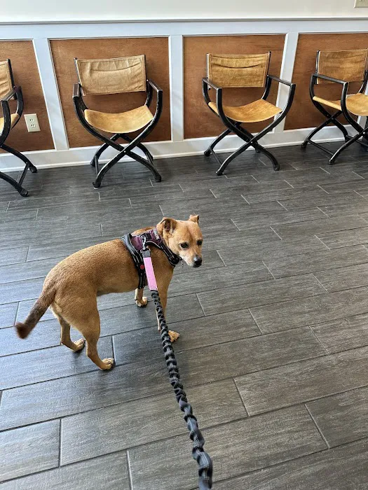 Phoenixville Animal Hospital 1