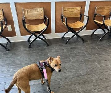 Phoenixville Animal Hospital