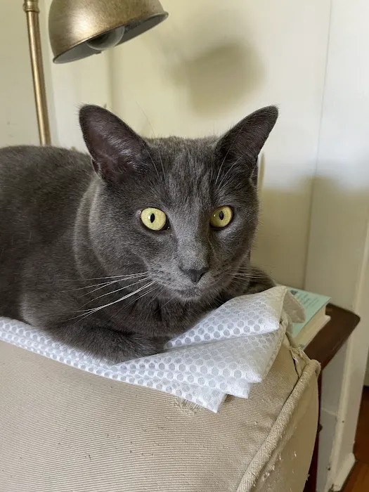 Phoenixville Animal Hospital 3