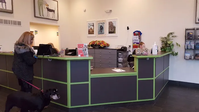 Phoenixville Animal Hospital 6