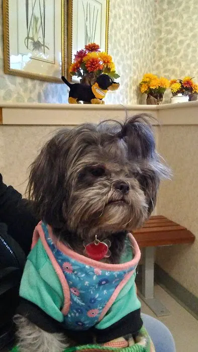 Animal Medical Center 4