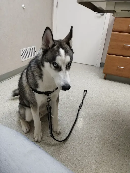 Animal Medical Center 1