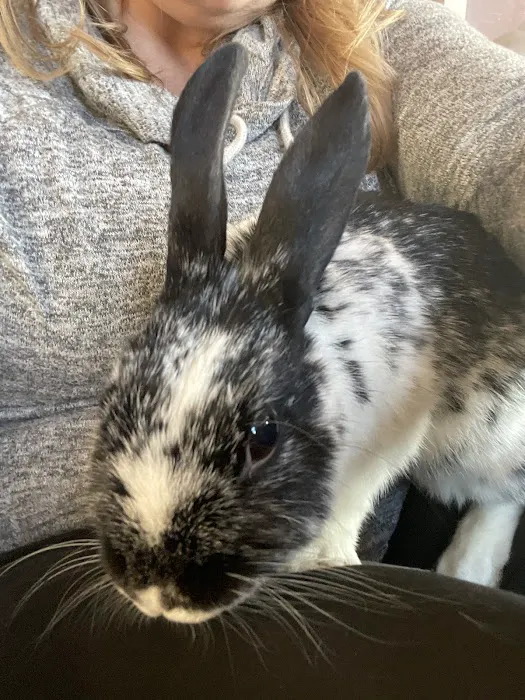 Animal Medical Center 5