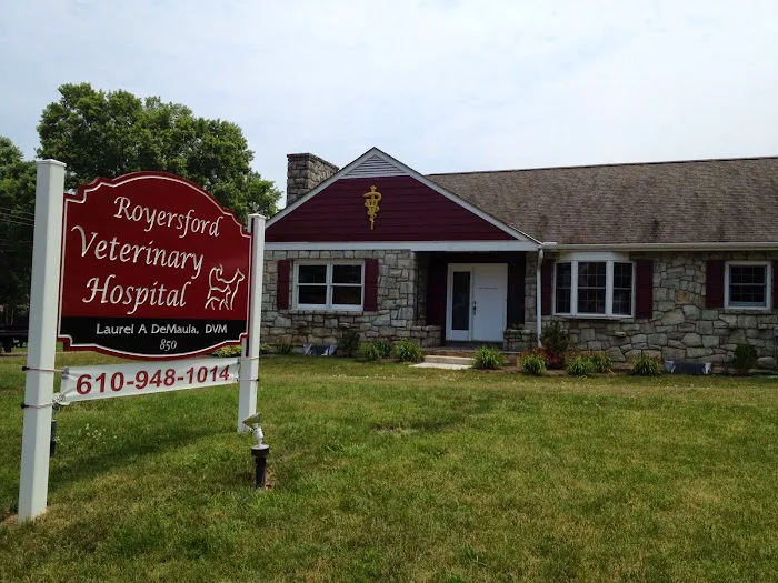 Royersford Veterinary Hospital 9