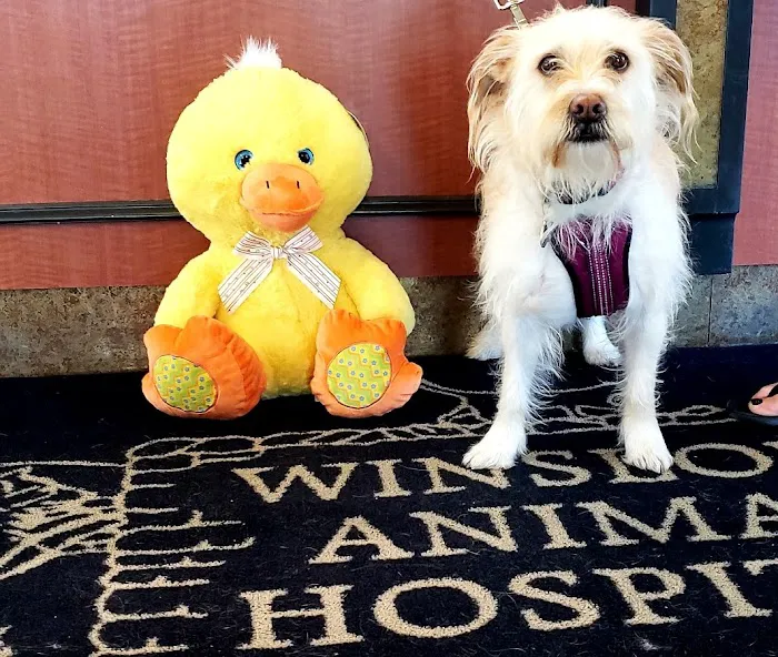 VCA Winslow Animal Hospital 7