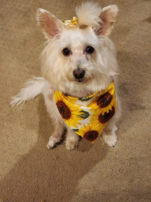 VCA Winslow Animal Hospital 8