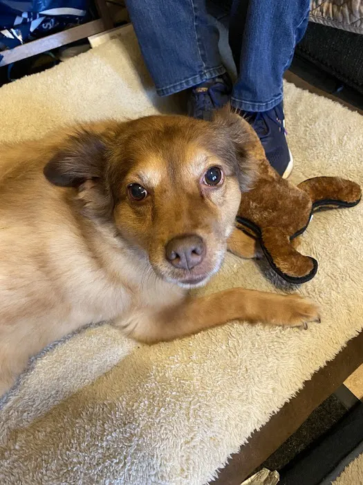 VCA Winslow Animal Hospital 5