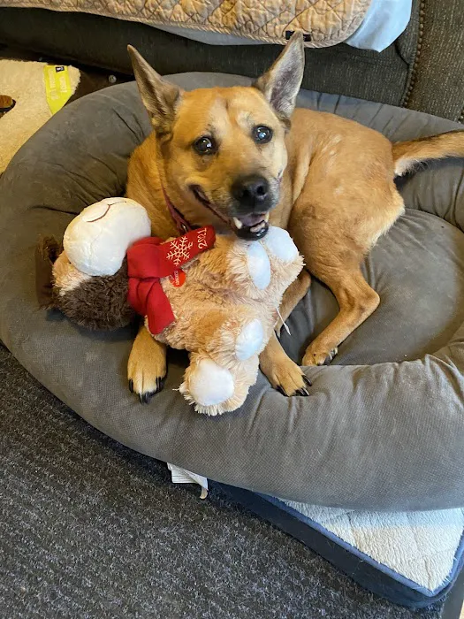 VCA Winslow Animal Hospital 6