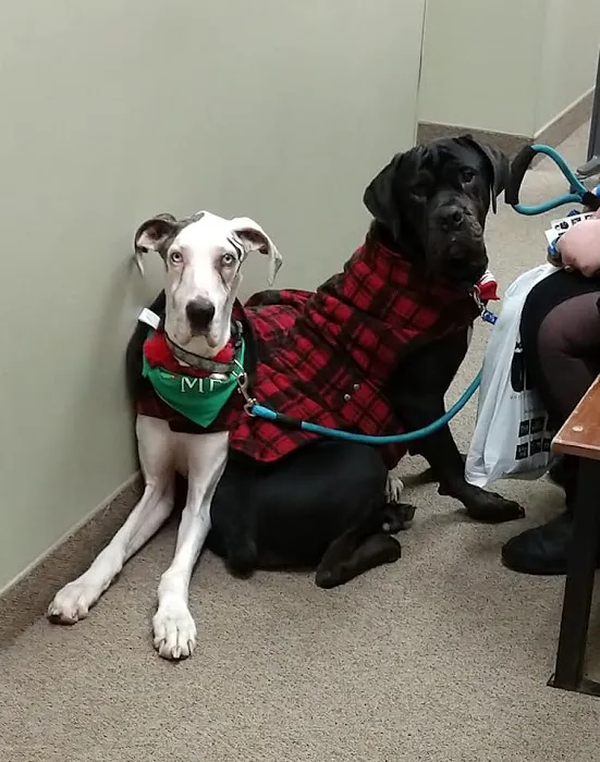 VCA Winslow Animal Hospital 4