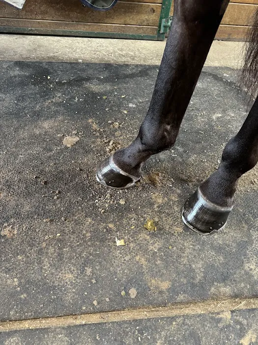 East Coast Hoof and Wellness Center 4