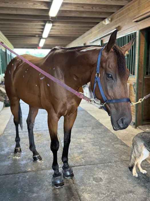 East Coast Hoof and Wellness Center 1