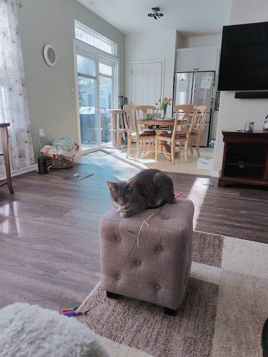 Cream Ridge Animal Clinic 12