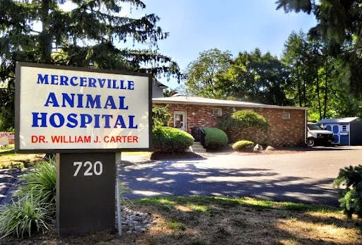 Mercerville Animal Hospital 10
