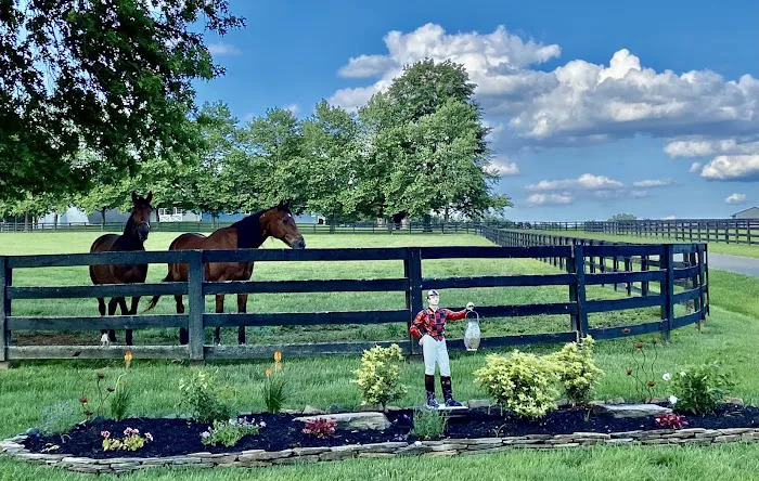 Hogan Equine Llc 12