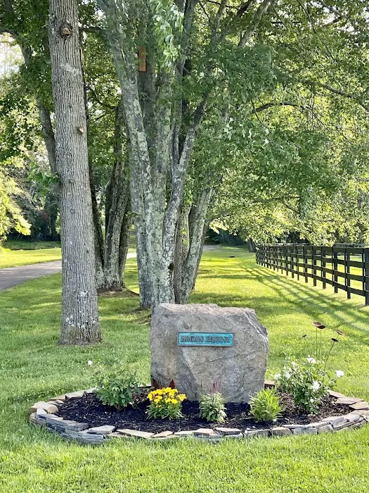 Hogan Equine Llc 12