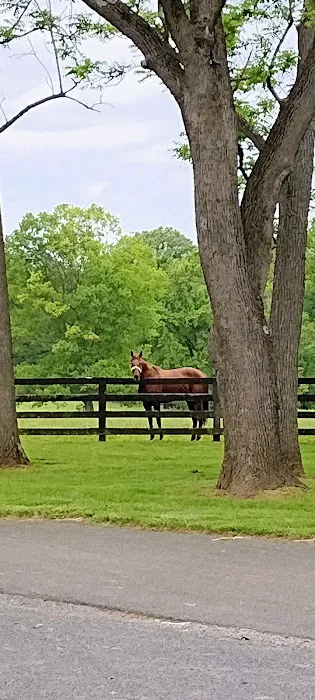 Hogan Equine Llc 12