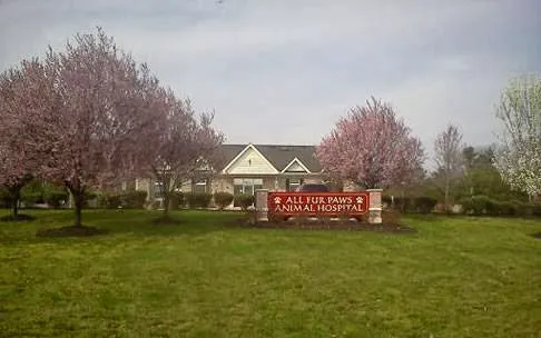 All Fur Paws Animal Hospital 12