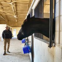 New Jersey Equine Clinic ico