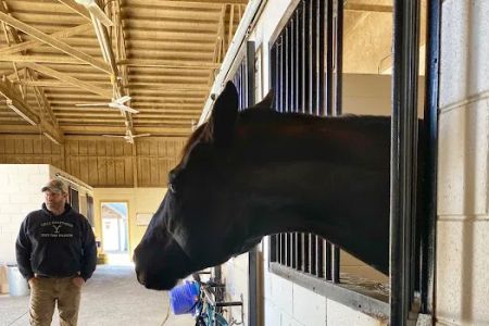 New Jersey Equine Clinic