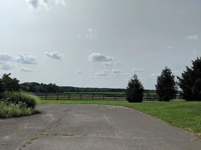 New Jersey Equine Clinic 6