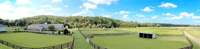New Jersey Equine Clinic 2