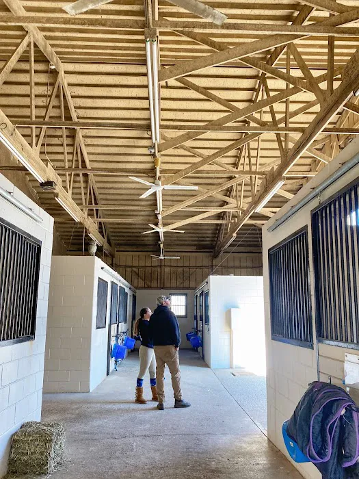 New Jersey Equine Clinic 4