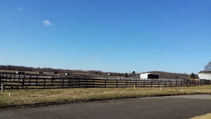 New Jersey Equine Clinic 3