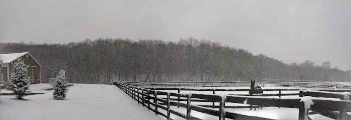 New Jersey Equine Clinic 5