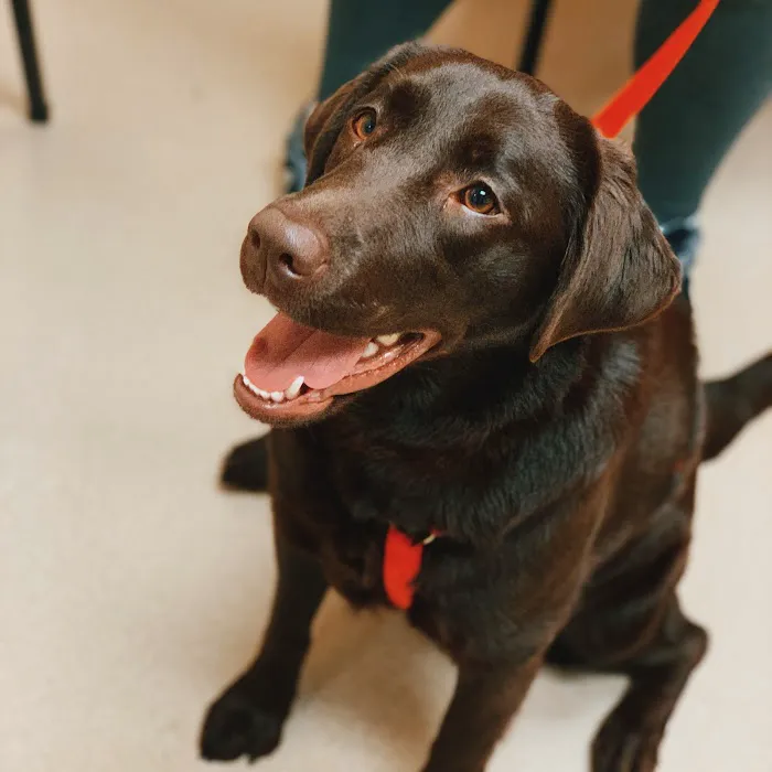 Deerwood Animal Hospital 2