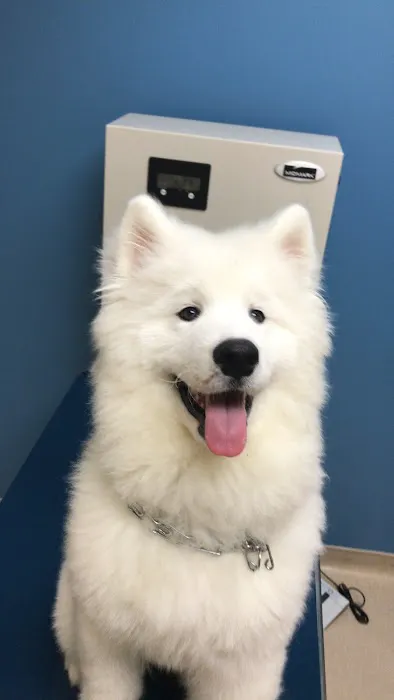 Deerwood Animal Hospital 5