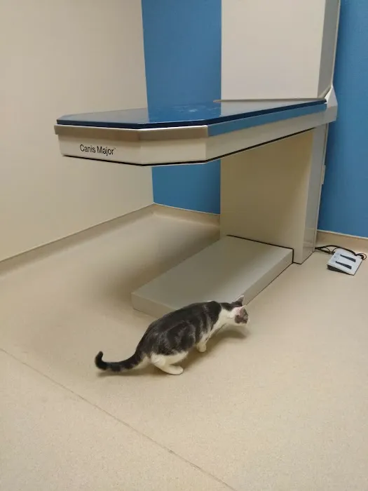 Deerwood Animal Hospital 4