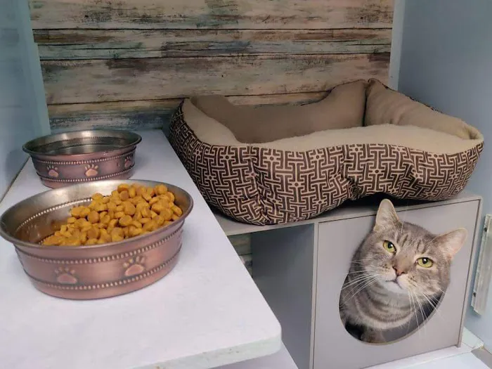 Heartland Veterinary and Boarding 8