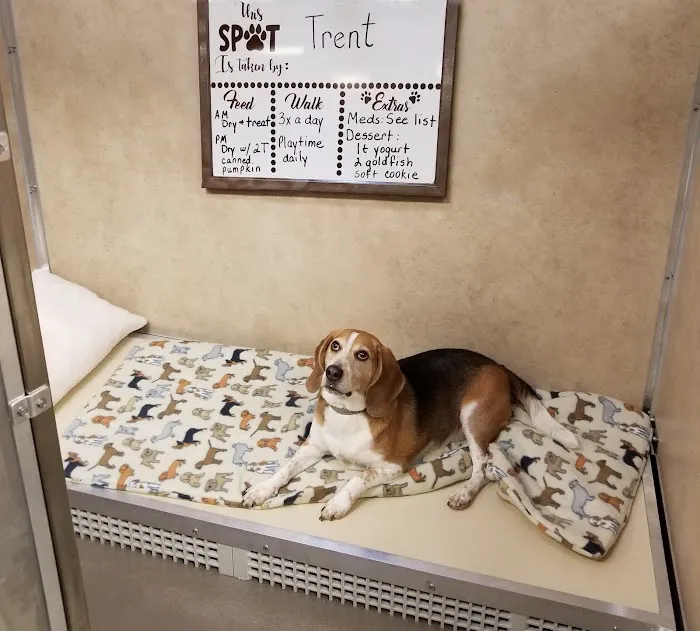 Heartland Veterinary and Boarding 5