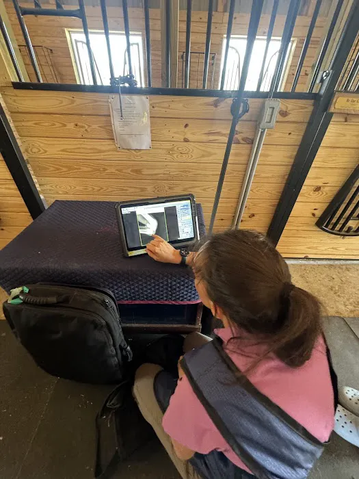 Walnridge Equine Clinic 12