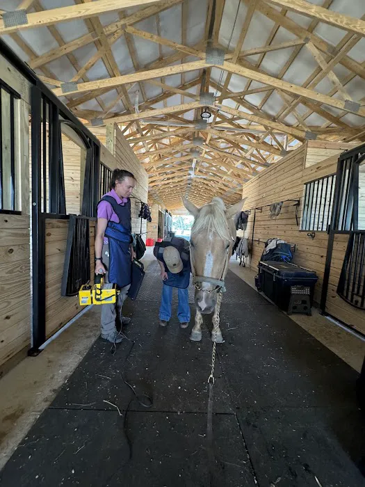 Walnridge Equine Clinic 12