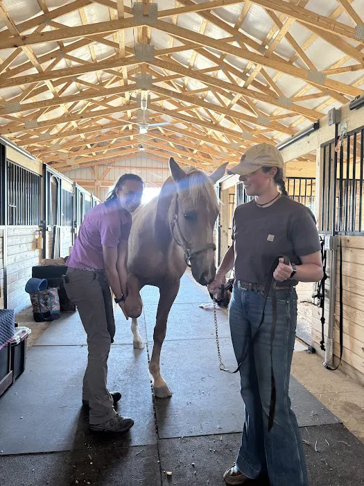 Walnridge Equine Clinic 12