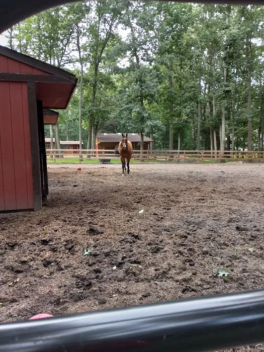 Millstone Animal Hospital 4